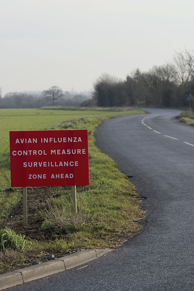 Avian Influenza: A global concern - Canadian Poultry MagazineCanadian ...