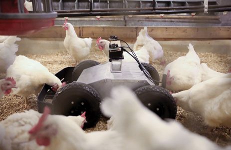 Advances in poultry robotics - Canadian Poultry MagazineCanadian ...