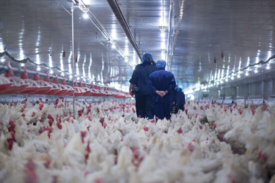 Building Bridges: Focus On People - Canadian Poultry Magazinecanadian 